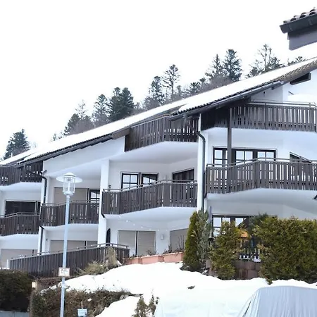 Fewo Zeus Mit Grosser Eingezaeunter Terrasse Todtmoos Exterior photo