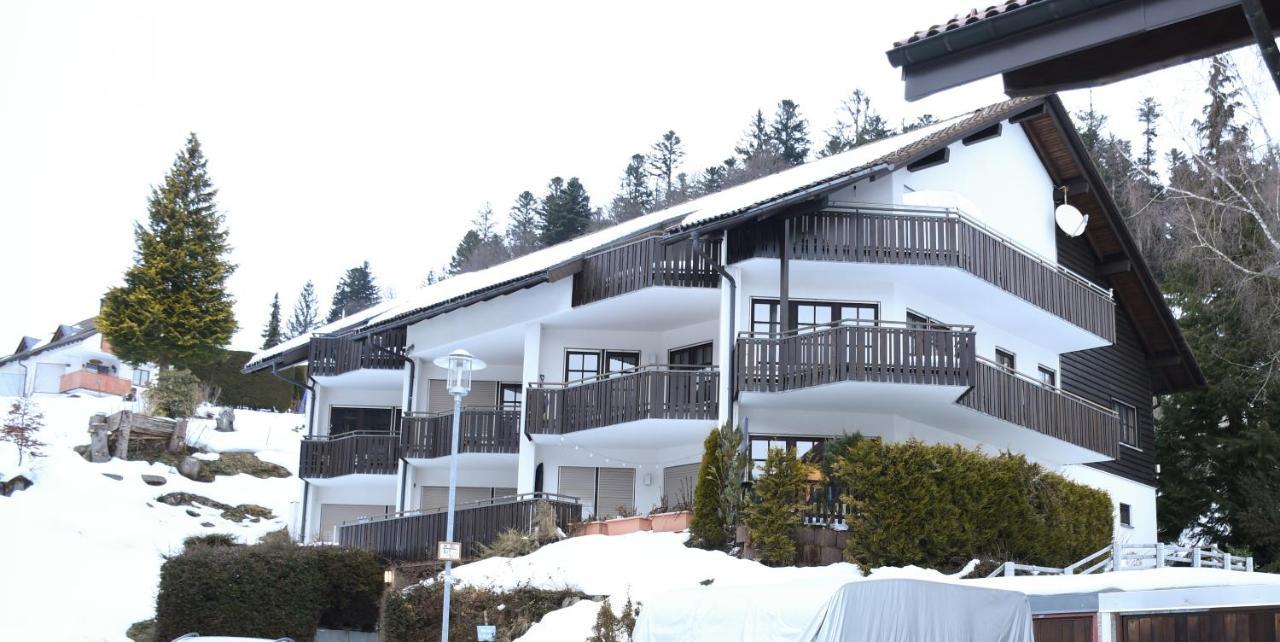 Zeus Mit Grosser Eingezaeunter Terrasse Apartment Todtmoos