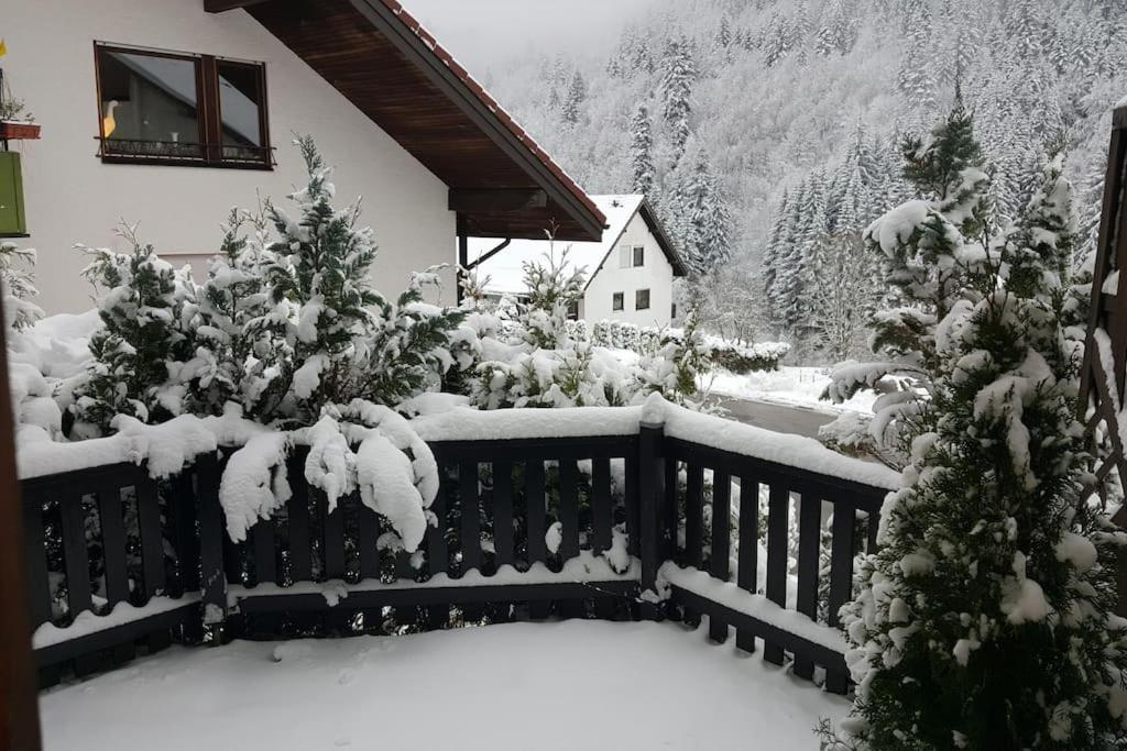 Zeus Mit Grosser Eingezaeunter Terrasse