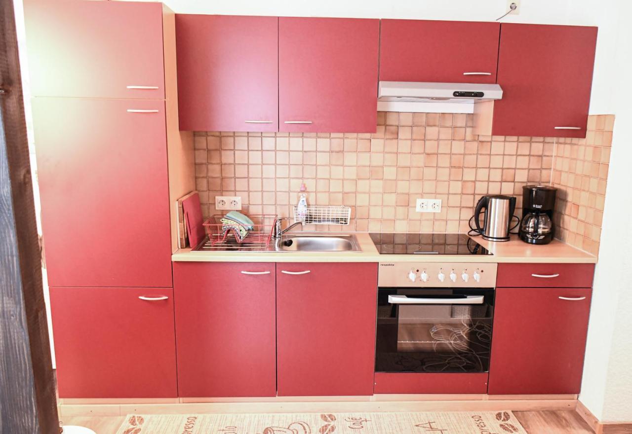 Apartment Zeus Mit Grosser Eingezaeunter Terrasse Todtmoos
