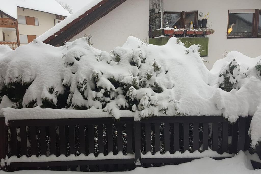 Zeus Mit Grosser Eingezaeunter Terrasse * Todtmoos