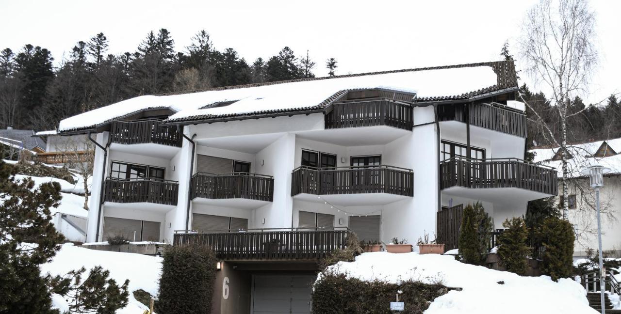 Zeus Mit Grosser Eingezaeunter Terrasse Todtmoos